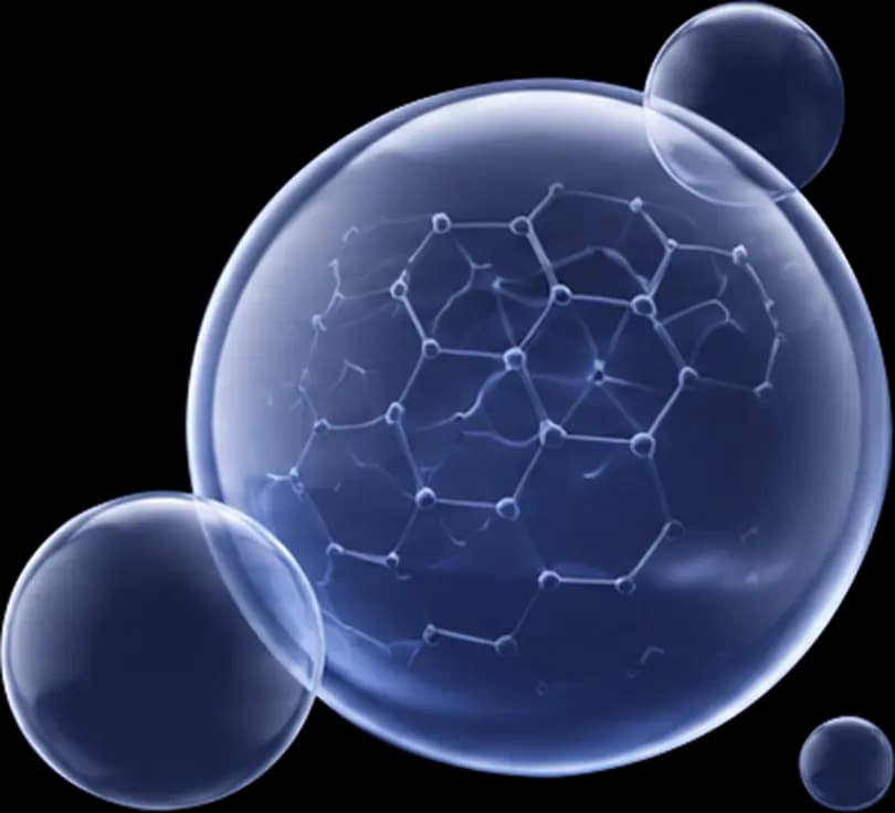 Cetosome nanovesicle carrying an encapsulated active