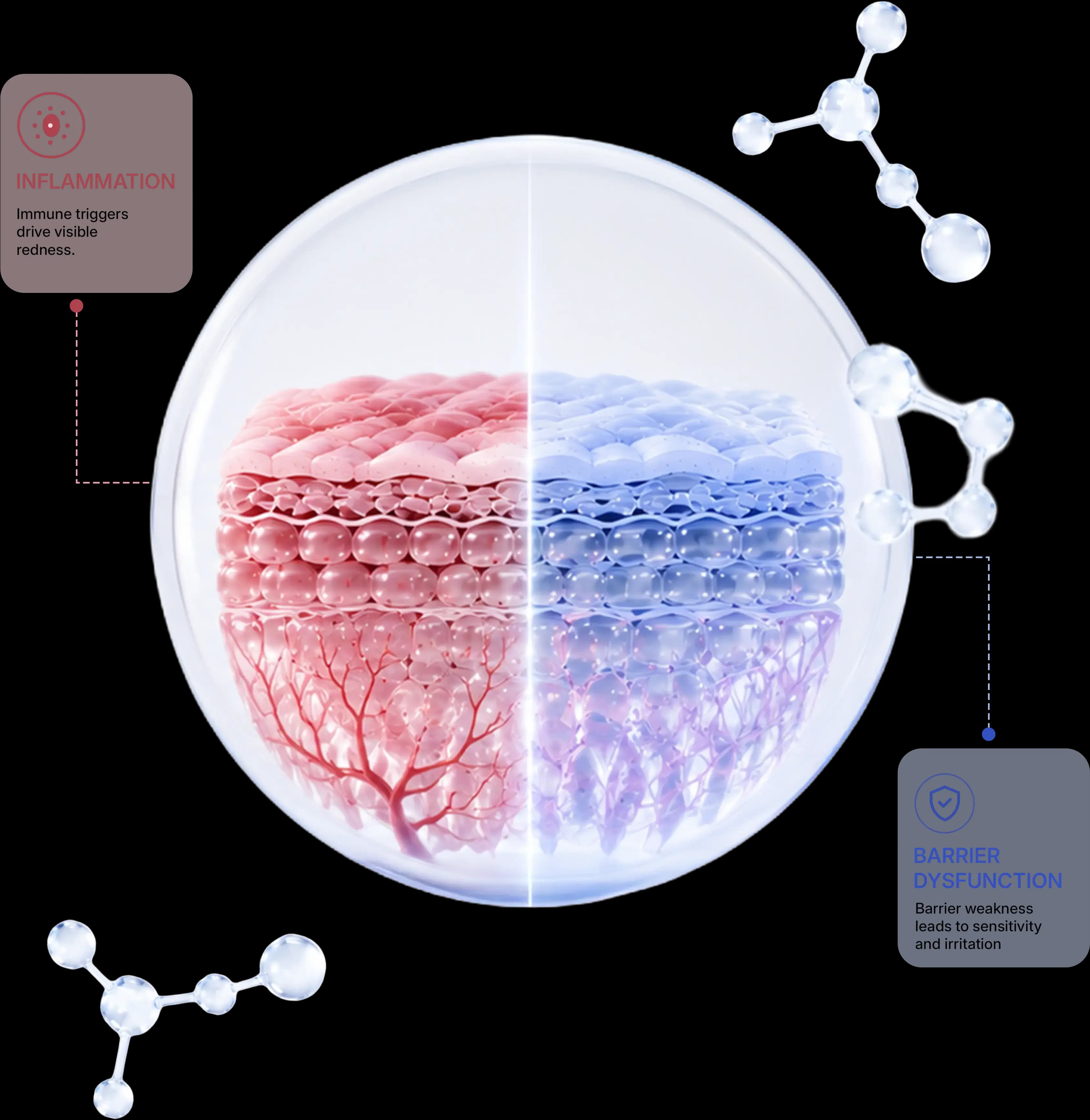 Why mechanism matters more than symptoms